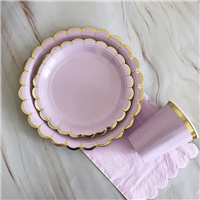 paper plate from MMCIS China