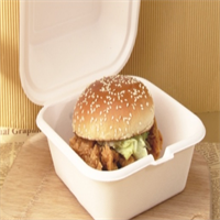  sugarcane lunch box from mmcis china 