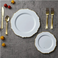 ps plate from MMCIS China