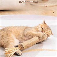 Pet Cat Toys  from mmcis china