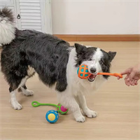 Pet Dog Toys  from mmcis china