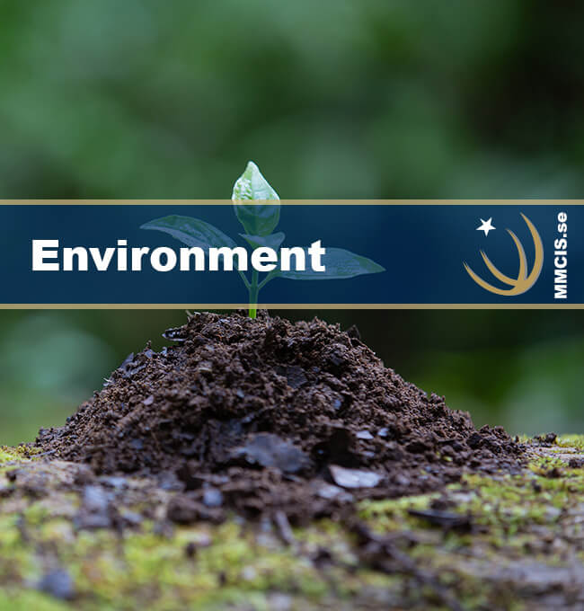 Import from China - We make it Personal