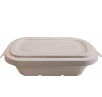 bio-degradable tableware from mmcis china