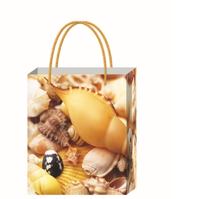 plastic bag from MMCIS China