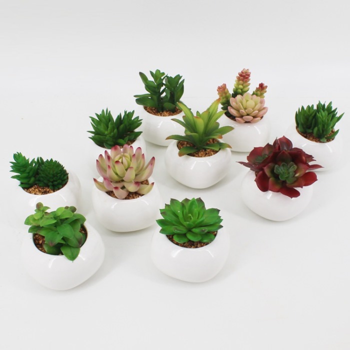 artifical succulent plant with pot from mmcis china