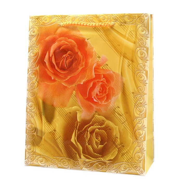 plastic bag from MMCIS China