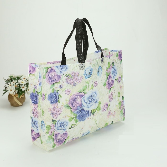 Non-woven handle bag from mmcis china