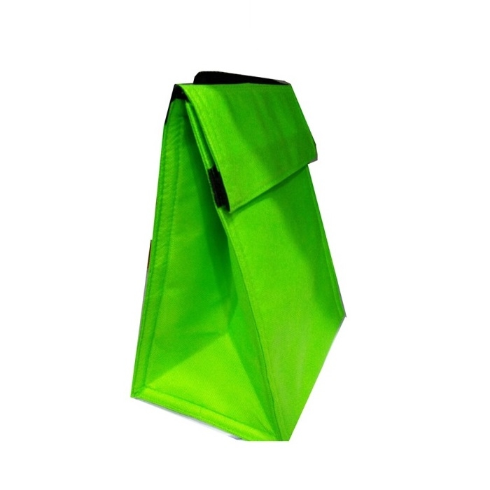 Non-woven coolar bag from mmcis china