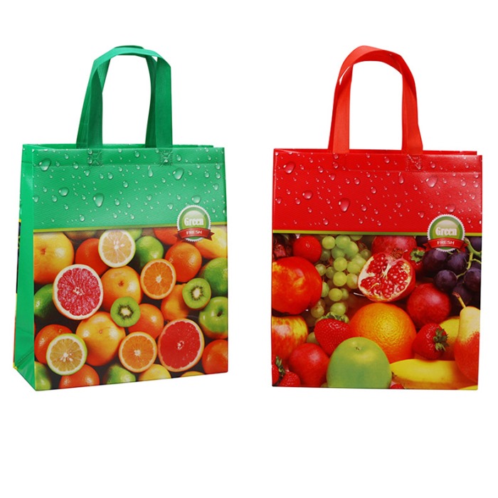 Non-woven handle bag from mmcis china