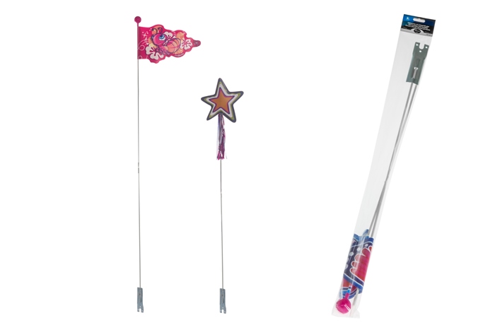 flag from MMCIS GROUP